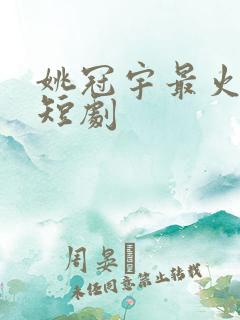 姚冠宇最火十部短剧