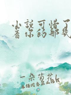 小说可惜了我爱着你的那几年在线阅读