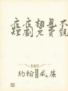 夜夜相见不识君短剧免费观看全集