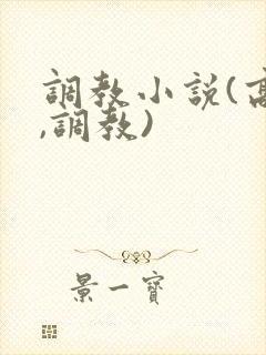 调教小说(高h,调教)