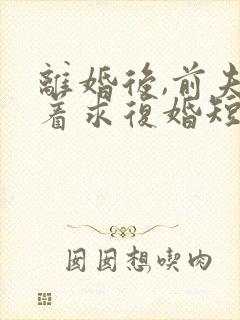 离婚后,前夫哭着求复婚短剧