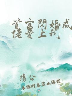 首富闪婚成宠大佬爱上我