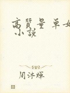 高质量 单女主 小说