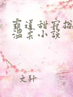 霸道甜宠总裁请温柔小说