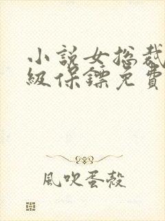 小说女总裁的神级保镖免费阅读