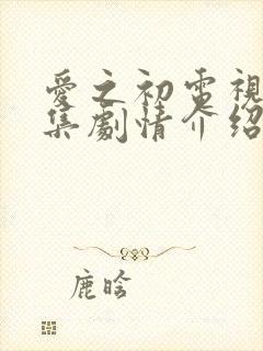 爱之初电视剧全集剧情介绍