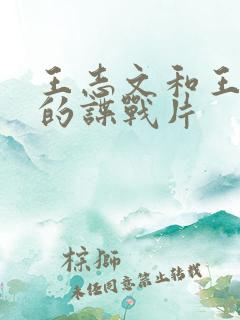 王志文和王阳演的谍战片