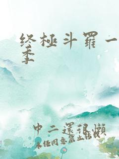 终极斗罗一共几季