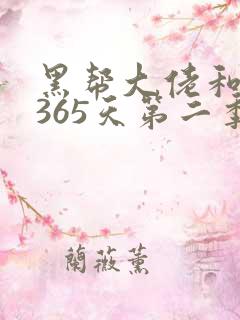 黑帮大佬和我的365天第二季未删减版