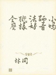 全职法师小说怎么样好看吗