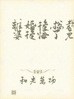 离婚后,总裁老婆后悔了免费阅读全