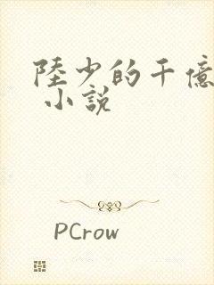 陆少的千亿盛宠 小说