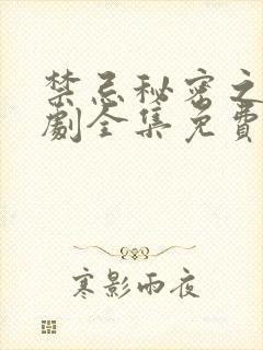 禁忌秘密之爱日剧全集免费观看