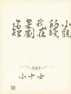 你是我的小美好短剧在线观看