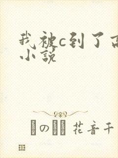 我被c到了高潮小说