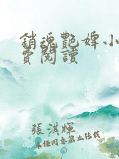 销魂艳婢小说免费阅读