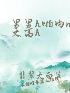 男男h啪肉np文高h