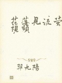 花落见流萤短剧视频