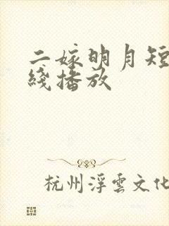 二嫁明月短剧在线播放