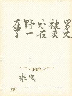 在野外被男人躁了一夜爽文