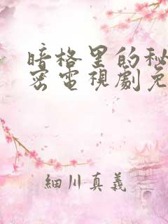 暗格里的秘密秘密电视剧免费播放