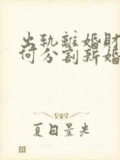 出轨离婚财产如何分割新婚姻法