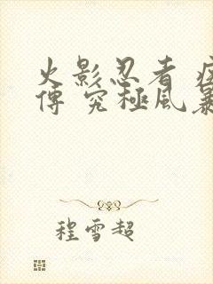 火影忍者 疾风传 究极风暴2下载