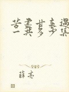 苦尽甘来遇见你一共多少集