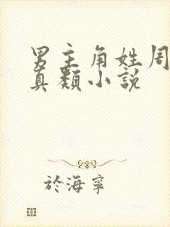 男主角姓周的修真类小说