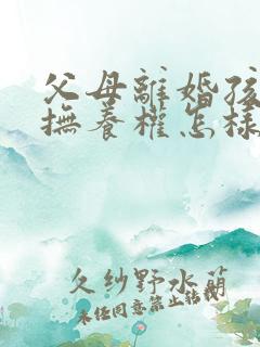 父母离婚孩子的抚养权怎样判给父亲