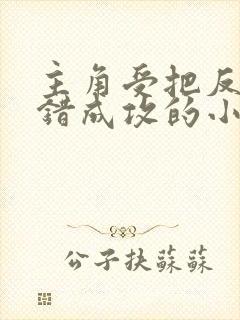 主角受把反派认错成攻的小说