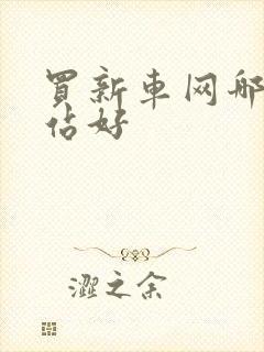 买新车网哪个网站好