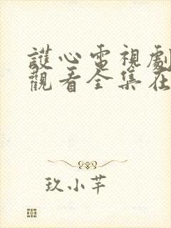 护心电视剧免费观看全集在线播放星辰