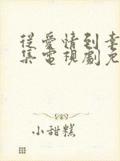 从爱情到幸福全集电视剧免费观看