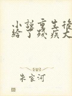 小说重生后我嫁给了残疾大佬