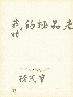 我的极品老婆txt