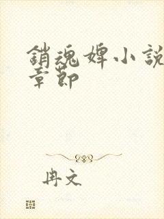 销魂婢小说最新章节