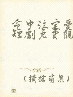 命中注定爱上我短剧免费观看