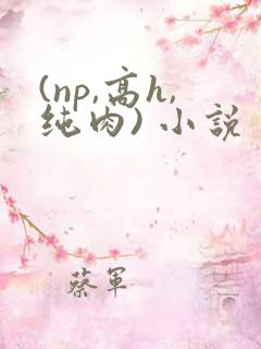 (np,高h,纯肉) 小说