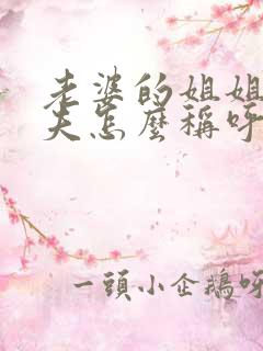 老婆的姐姐的丈夫怎么称呼