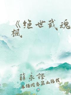 《绝世武魂》陈枫