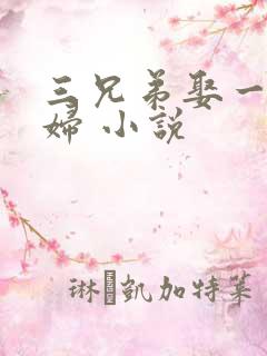 三兄弟娶一个媳妇 小说