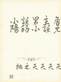 小说男主角叫萧阳的小说免费阅读