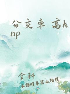 公交车 高h np