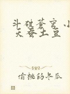 斗破苍穹 小说 天蚕土豆