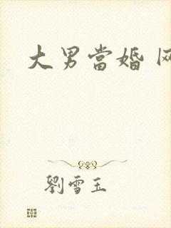 大男当婚 网盘