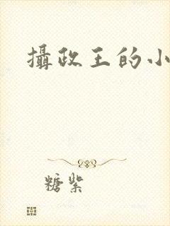 摄政王的小医妃