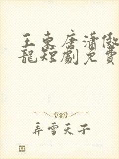 王东唐潇傲世潜龙短剧免费