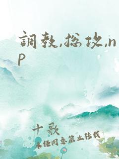 调教,总攻,np