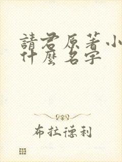 请君原著小说叫什么名字